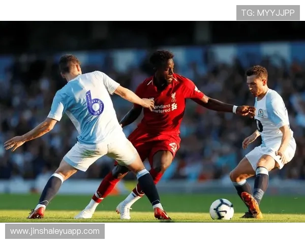 米德尔斯堡足球俱乐部的辉煌历史与未来发展展望